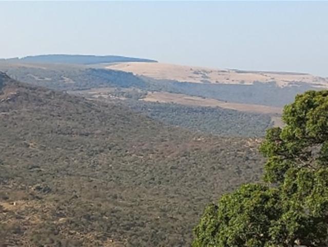 125 ha Farm in Greytown