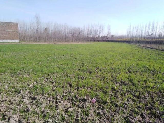 125 sq yards Residential plots 10 km from gulshan e maymar, Karachi Scheme 45 ID 54437