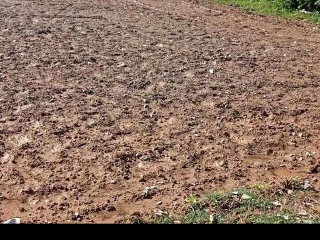 125 Sq.Yd. Plot in Sector 77 Mohali Listing ID: #10151