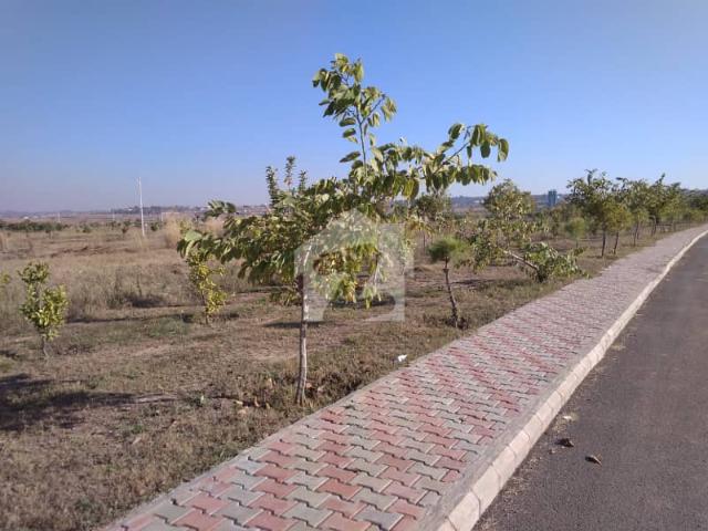125sq Yd Plots At Precinct 31 Near Gallery And Park For SALE. Best For Investment And Living Purpose