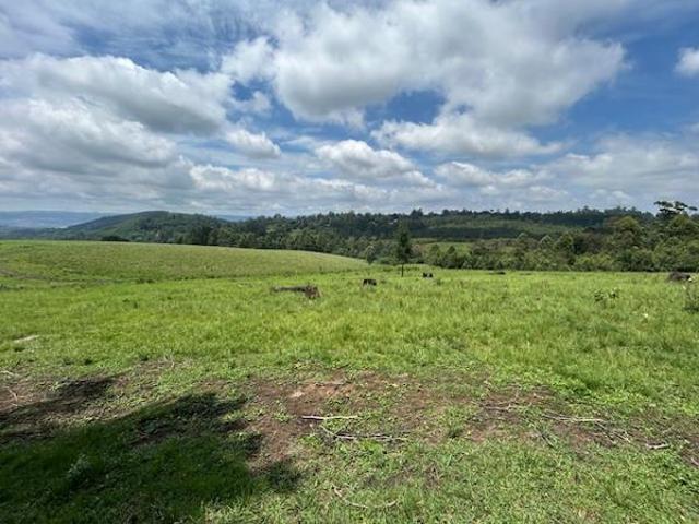 127.3 ha Land available in Winterskloof