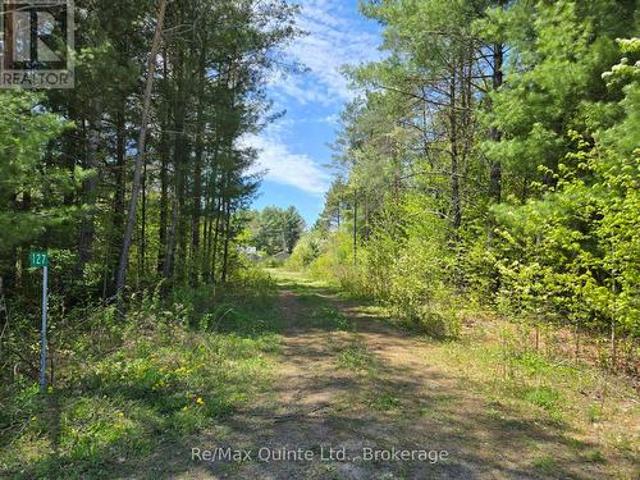 127 Lloyd Street E, Addington Highlands, ON, K0H 2G0 vacant land for sale | Listing ID X13166 | Royal LePage