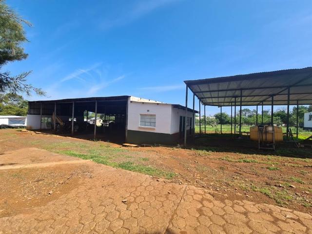 128 ha Farm in Lydenburg