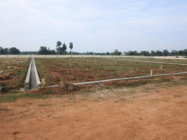 1297 Sq.Ft. Plot in Baronwala Dehradun Listing ID: #10259