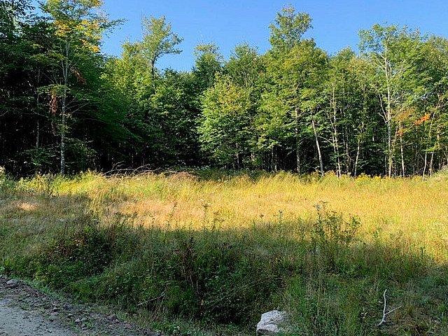 129 000$ Prix Taxes En Sus Terre à Bois à Vendre à Kiamika