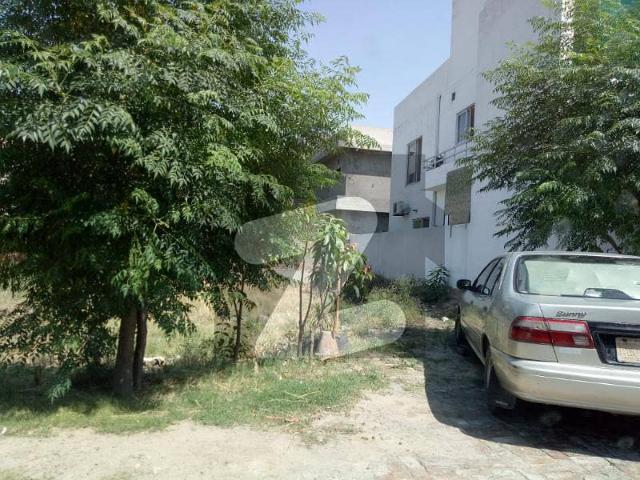 12.50 Marla paid Residential Best Location Near Park Mosque Main Road Plot For Sale