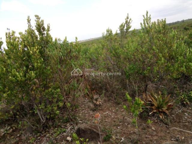 12.8 Acre Plots With Stunning Views