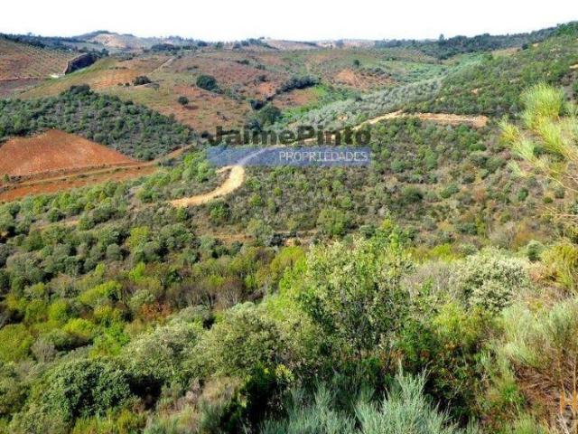 12.000m2 Terra Agrícola p/ plantações novas. Bragança, Alfândega da Fé. | 26063455363