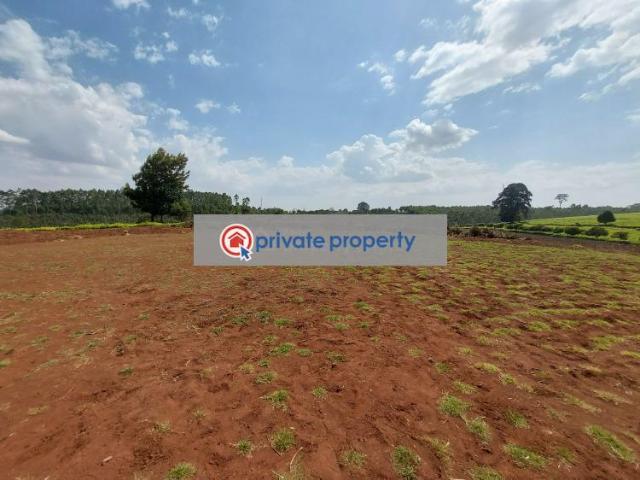 1/2 Acre Plots