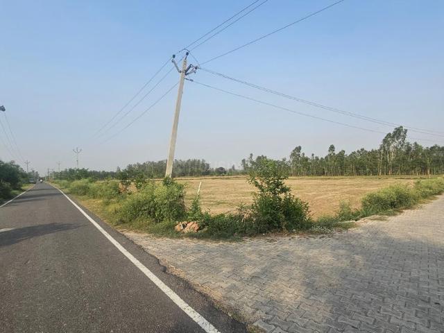 12 BHK Farm House in Faridpur for rent Bareilly. The reference number is 20579285