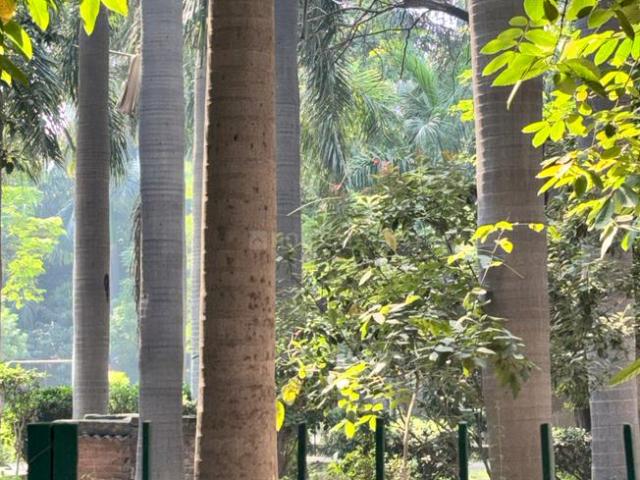 12 BHK Independent House in Sector 34 for resale Noida. The reference number is 19141516