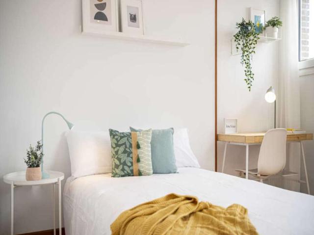 12 Dormitorio Shared Living/Roommate Madrid Madrid 102850804