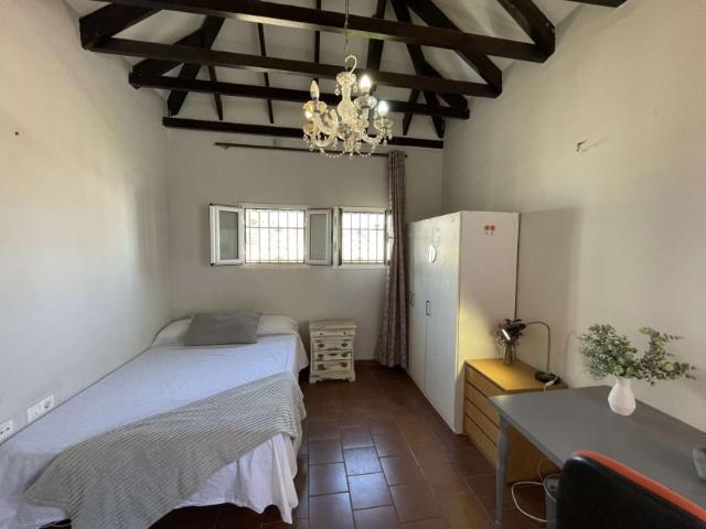 12 Dormitorio Shared Living/Roommate Seville Seville 101842931