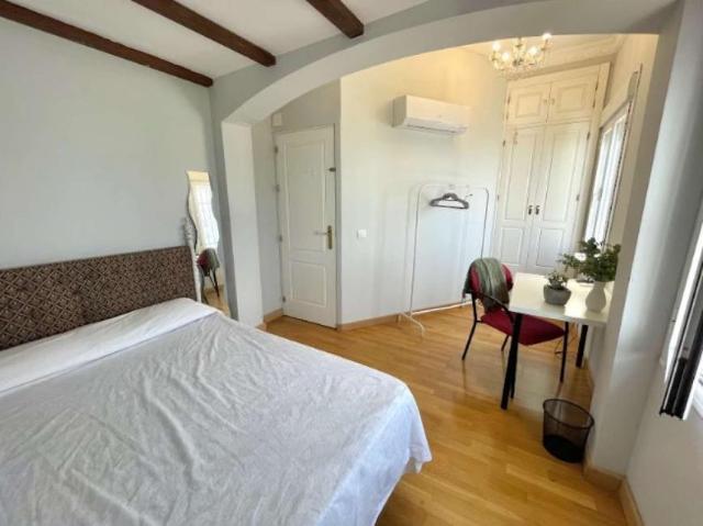 12 Dormitorio Shared Living/Roommate Seville Seville 95986321
