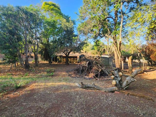 12 ha Farm in White River