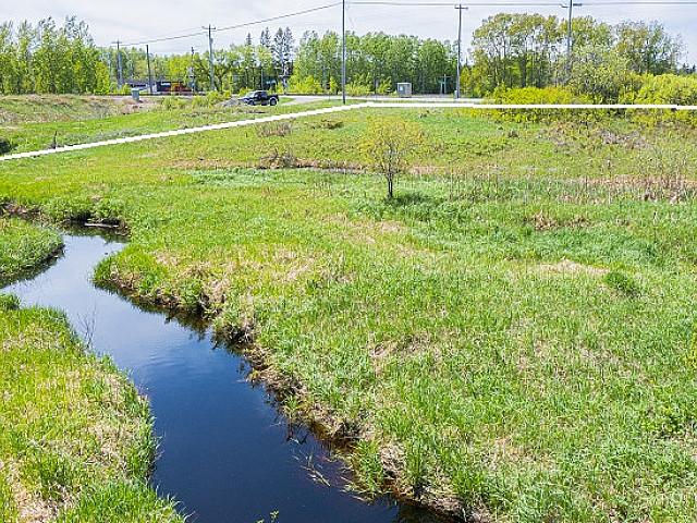 1/2 Ha Hunting Property, Rainy River, Ontario