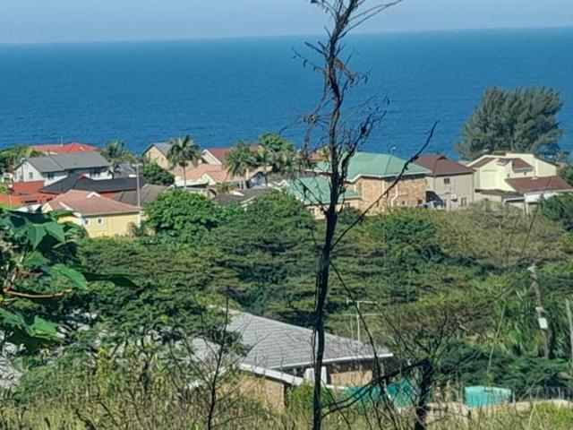 12 ha Land available in Genazzano