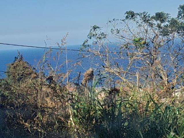 12 ha Land available in Genazzano