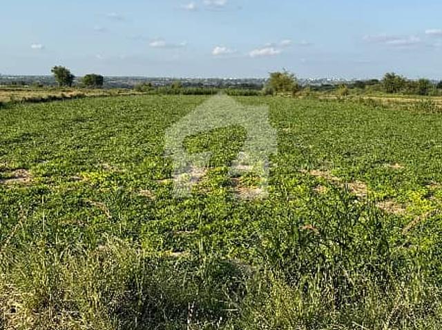 12 Kanal Farm Land In Chakwal