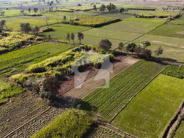 12 Kanal Farmhouse Land For Sale in Wadie Sitara Back Near Oakland Villas, Old Roots School, Gatwala Park & Zoo Faisalabad