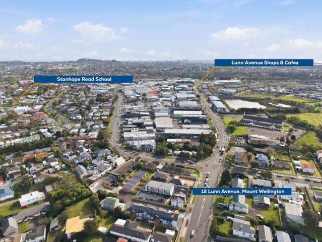 12 Lunn Avenue, Mt Wellington, Auckland City