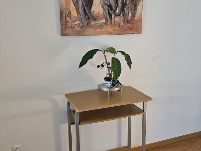 12 m²