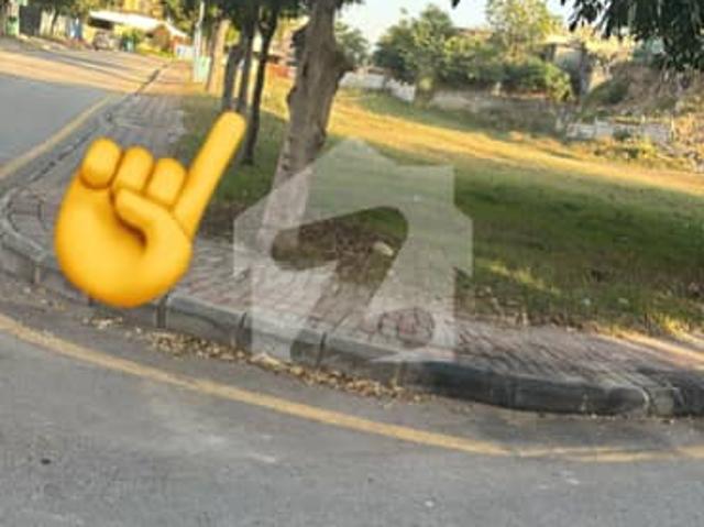 12 Marla Ready Plot For Sale At Investor Rate
