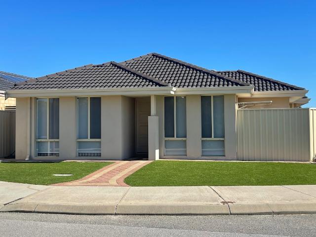 12 Middle Pky, Canning Vale WA 6155 House For Rent | Domain