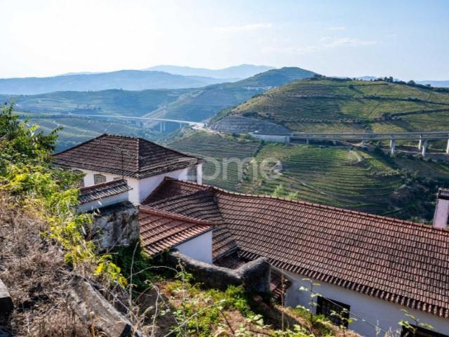 12 quarto, Peso da Régua Peso da Régua 104881744