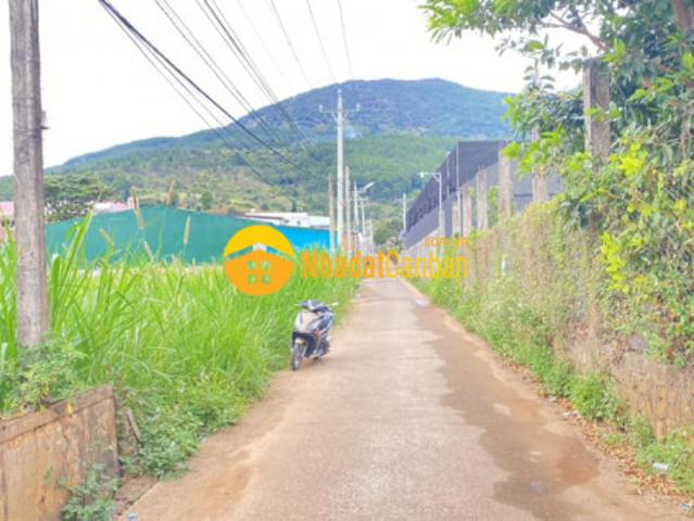 12m mặt hẻm ql20, hiệp thạnh đức trong