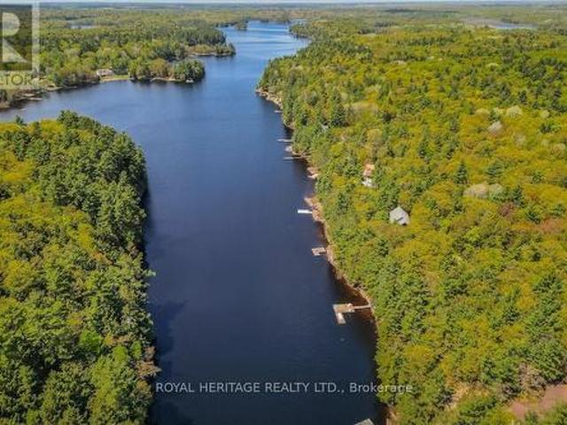1306 2 Eastshore Road, Georgian Bay, ON, P0C 1A0 house for sale | Listing ID X12146 | Royal LePage