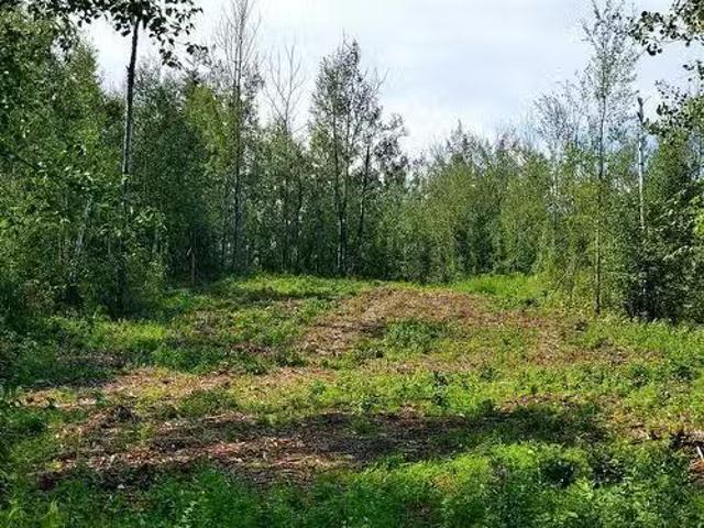 130 67458 Mcgrane Road, Lac La Biche, AB, T0A 2C0 vacant lan.