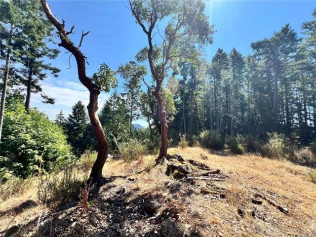 131 Rainforest Rd, Salt Spring, BC, V8K 1S4 vacant land for sale | Listing ID 1043 | Royal LePage