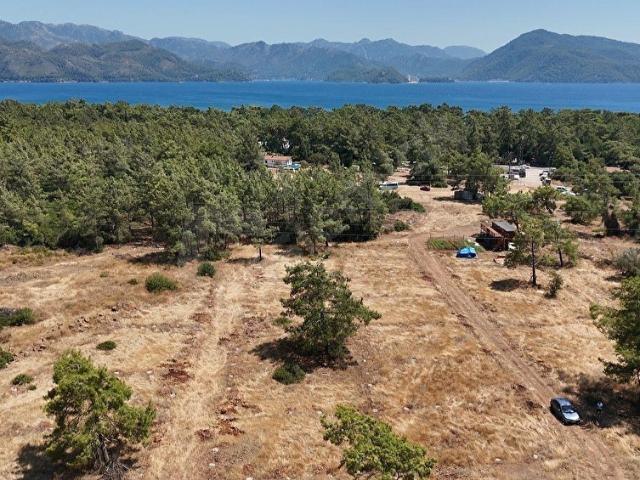 1334972597 İlanlar Marmaris'te Denize Yakın, İmar planı içinde 250m Parseller