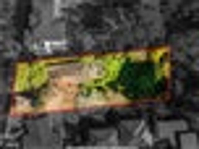 1338m2 mol Potential Development Opportunity