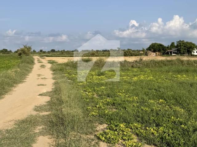 133 Kanal In Kalar Kahar