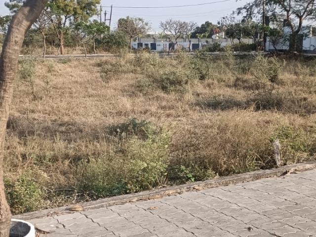 1344 Sq.Ft. Plot in Super Corridor Indore Listing ID: #9785