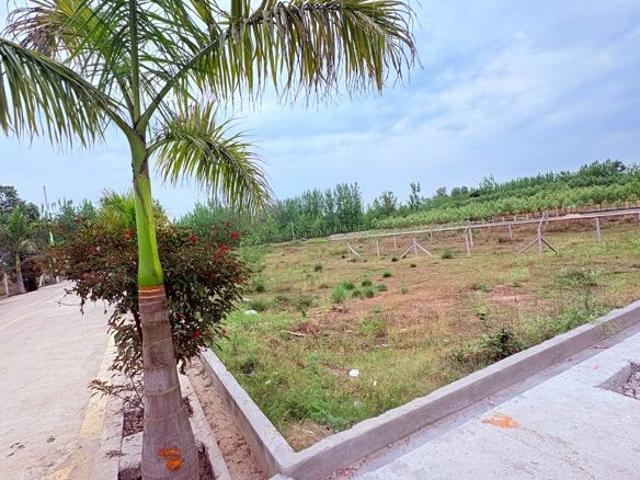 134 Sq.Yd. Plot in Biharigarh Dehradun Listing ID: #10347