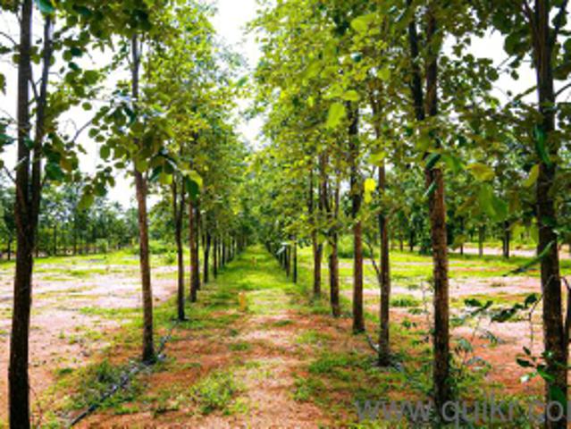 1350 Sq. ft Plot for Sale in Hyderabad Warangal Hwy, Hyderabad