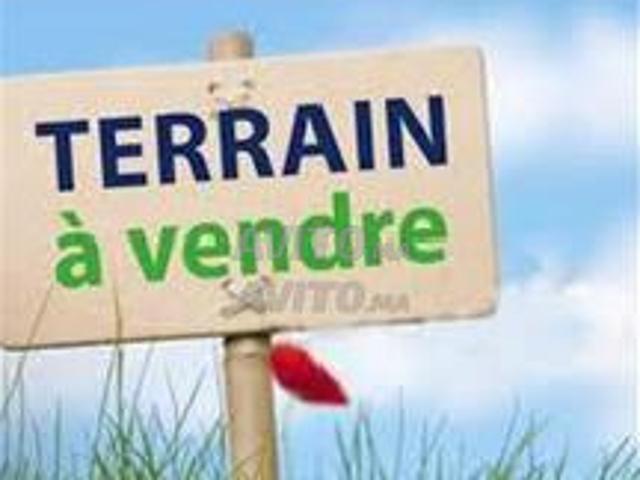 135.000 DH /Hectare Terrain agricole