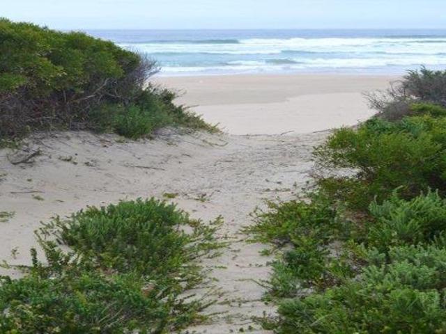 135 ha Land available in Oyster Bay
