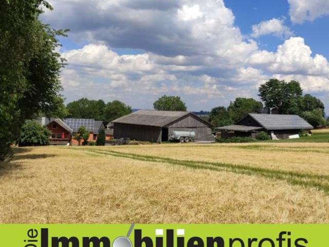 1365 Nähe Hof: 1 2 Fam.Haus mit Scheune, Halle, Stall und Werkstatt
