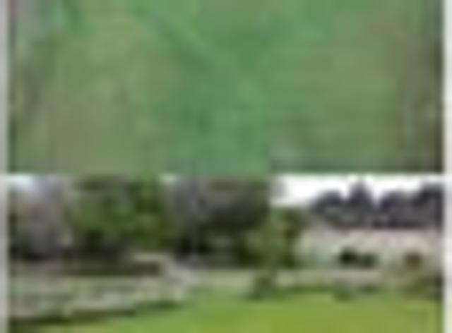 1366m2 Flat Section in Waitati