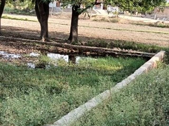 1360 Sq.Ft. Plot in Shivpurwa Varanasi Listing ID: #10344