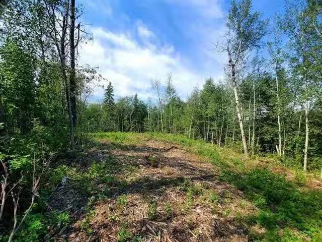 138 67458 Mcgrane Road, Lac La Biche, AB, T0A 2C0 vacant lan.