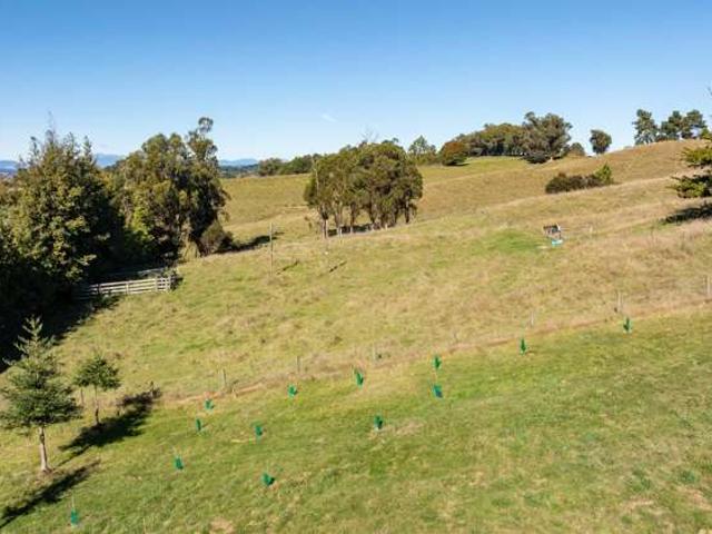 139 McBrydie Road, Lower Moutere, Tasman