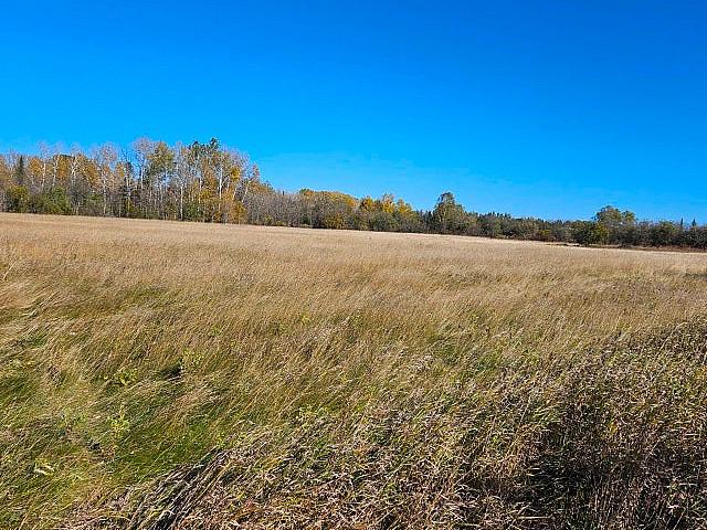 17.5 Acre Property