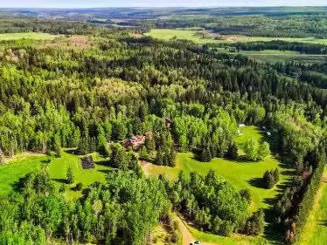 17 A 15031 Twp Road 462, Rural Wetaskiwin County, AB, T0C 2V0.
