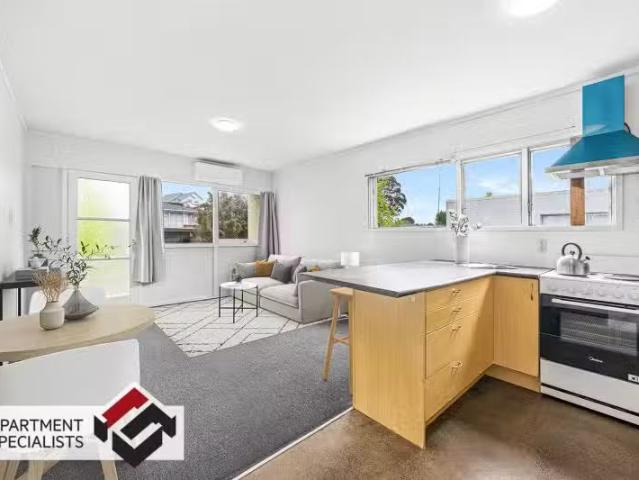 17 Don Croot Street, Morningside, Auckland City