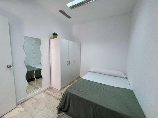 17 Dormitorio Shared Living/Roommate Seville Seville 101815696
